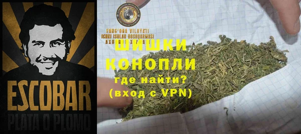 ГАЛЛЮЦИНОГЕННЫЕ ГРИБЫ Алексеевка